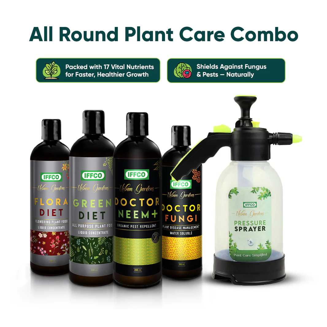 Grow Your Own Green Oasis